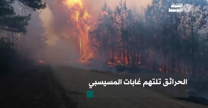 الحرائق تلتهم غابات المسيسبي