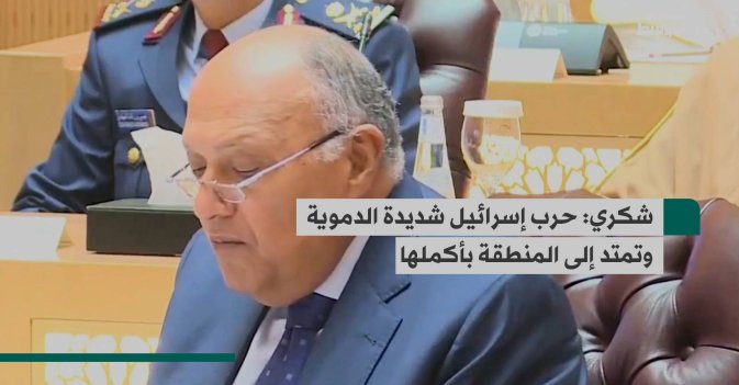 شكري: حرب إسرائيل شديدة الدموية وتمتد إلى المنطقة بأكملها