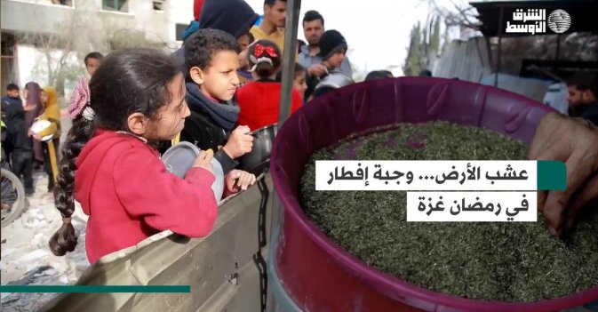 عشب الأرض... وجبة إفطار في رمضان غزة