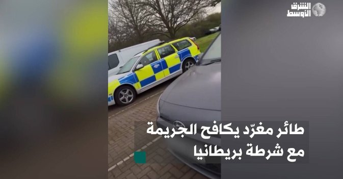 طائر مغرّد يكافح الجريمة مع شرطة بريطانيا
