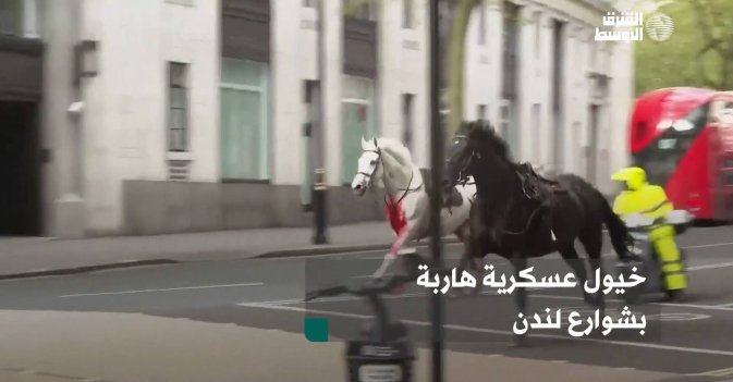 خيول عسكرية هاربة بشوارع لندن