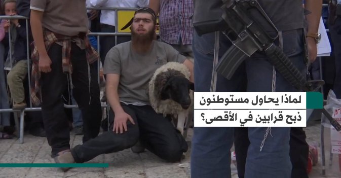 لماذا يحاول مستوطنون ذبح قرابين في الأقصى؟