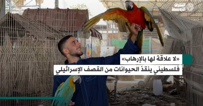 «لا علاقة لها بالإرهاب» فلسطيني ينقذ الحيوانات من القصف الإسرائيلي