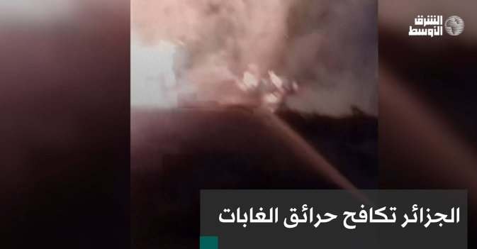 الجزائر تكافح حرائق الغابات