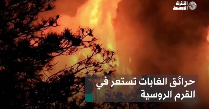 حرائق الغابات تستعر في القرم الروسية