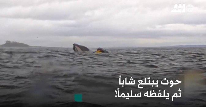حوت يبتلع شاباً ثم يلفظه سليماً!