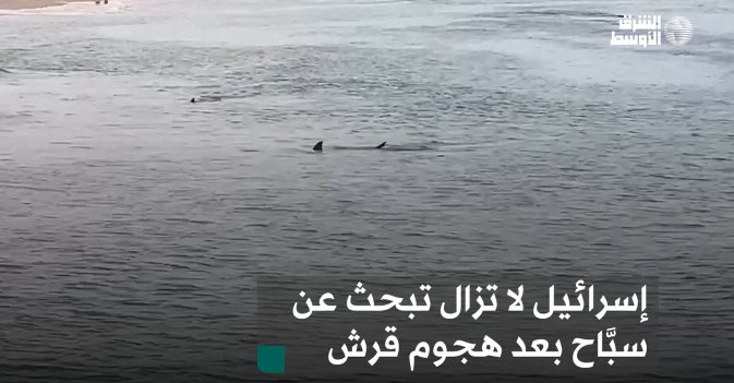 إسرائيل لا تزال تبحث عن سبَّاح بعد هجوم قرش