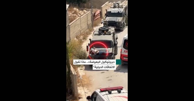 «بروتوكول البعوضة».. ماذا تقول الاتفاقات الدولية؟