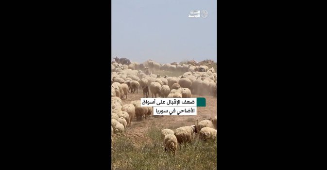 ضعف الإقبال على أسواق الأضاحي في سوريا