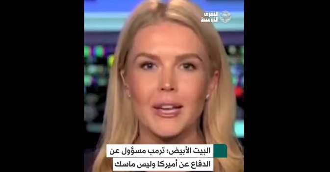 البيت الأبيض: ترمب مسؤول عن الدفاع عن أميركا وليس ماسك 