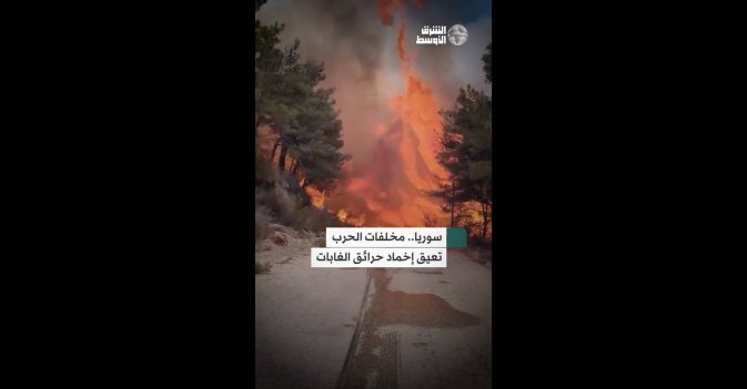 سوريا.. مخلفات الحرب تعيق إخماد حرائق الغابات