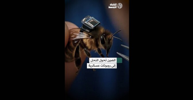 الصين تحول النحل إلى روبوتات عسكرية