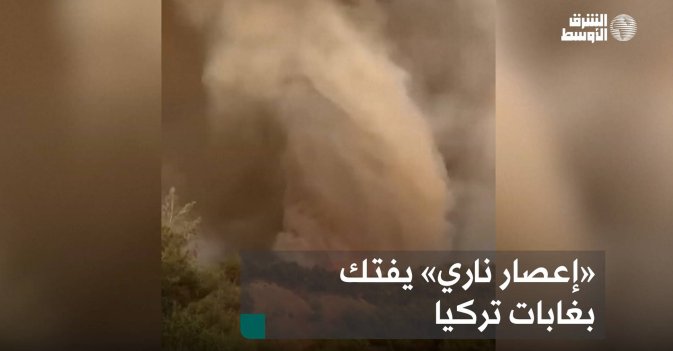 «إعصار ناري» يفتك بغابات تركيا