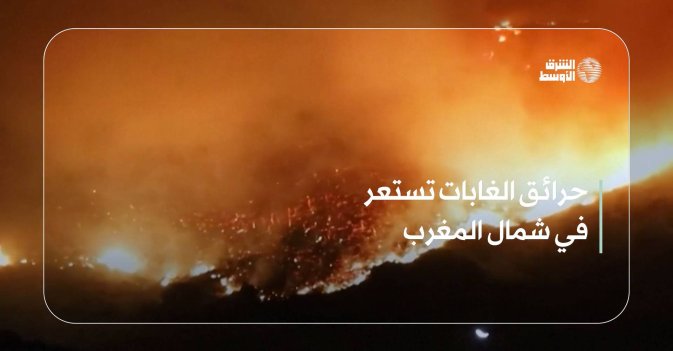 حرائق الغابات تستعر في شمال المغرب