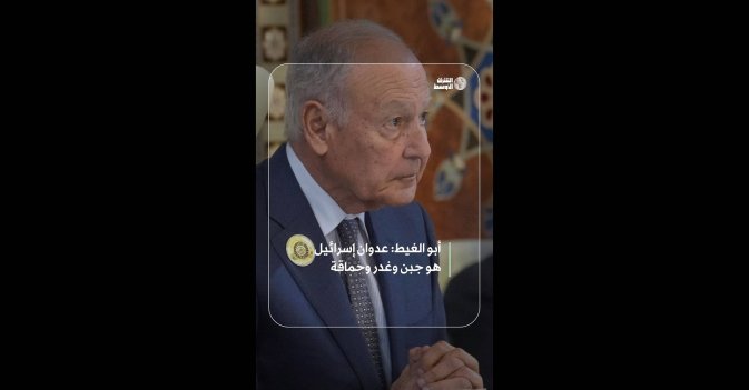 أبو الغيط: عدوان إسرائيل هو جبن وغدر وحماقة