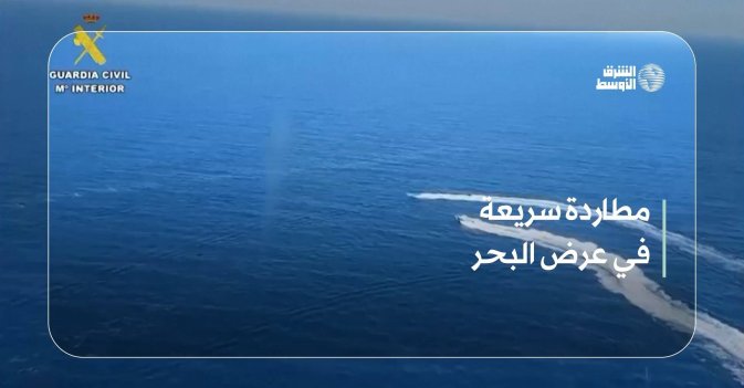 مطاردة سريعة في عرض البحر