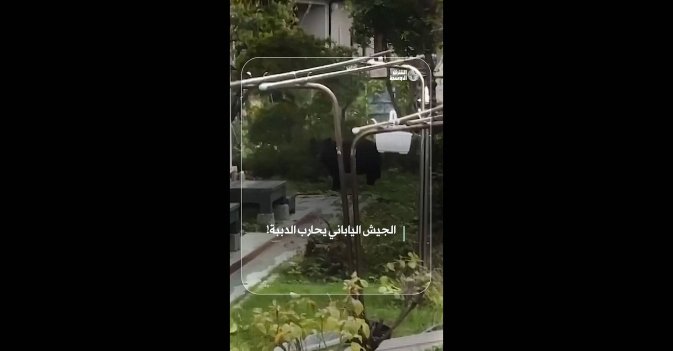 الجيش الياباني يحارب الدببة!