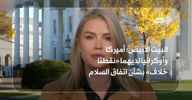 البيت الأبيض: أميركا وأوكرانيا لديهما «نقطتا خلاف» بشأن اتفاق السلام