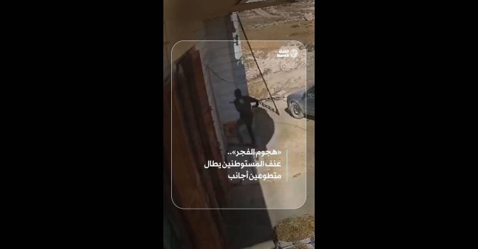 «هجوم الفجر».. عنف المستوطنين يطال متطوعين أجانب