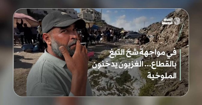 في مواجهة شحّ التبغ بالقطاع... الغزيون يدخنون الملوخية