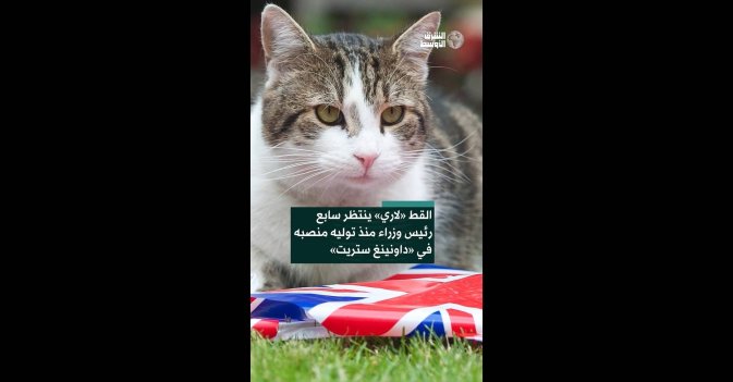 القط «لاري» ينتظر سابع رئيس وزراء منذ توليه منصبه في «داونينغ ستريت»