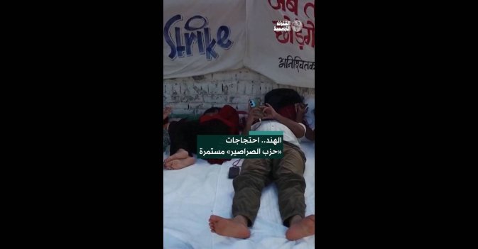 الهند.. احتجاجات «حزب الصراصير» مستمرة
