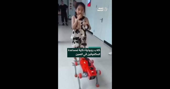 كلاب روبوتية ذكية لمساعدة المكفوفين في الصين 