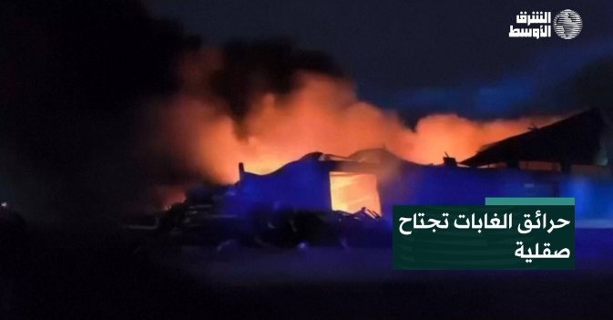 حرائق الغابات تجتاح صقلية