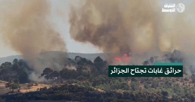 حرائق غابات تجتاح الجزائر