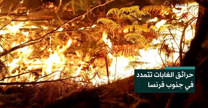 حرائق الغابات تتمدد في جنوب فرنسا