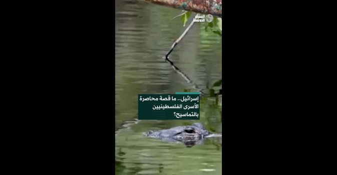 إسرائيل.. ما قصة محاصرة الأسرى الفلسطينيين بالتماسيح؟  