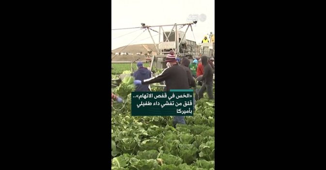 «الخس في قفص الاتهام».. قلق من تفشي داء طفيلي بأميركا  