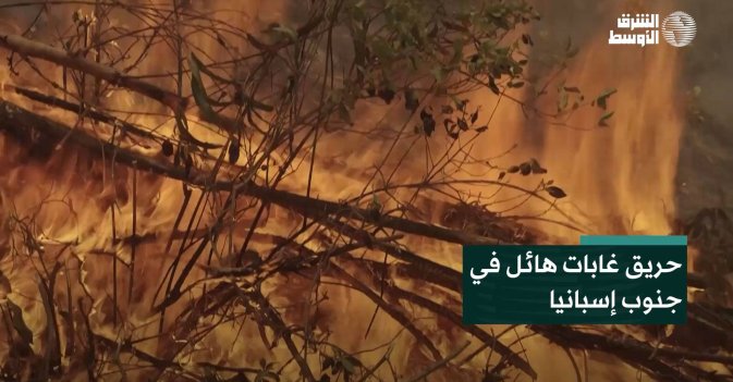 حريق غابات هائل في جنوب إسبانيا