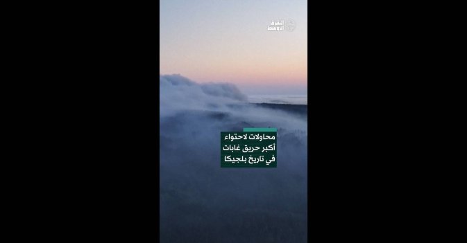 محاولات لاحتواء أكبر حريق غابات في تاريخ بلجيكا 