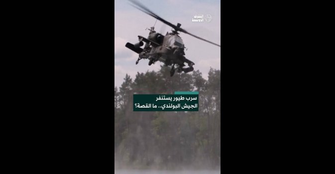 سرب طيور يستنفر الجيش البولندي.. ما القصة؟