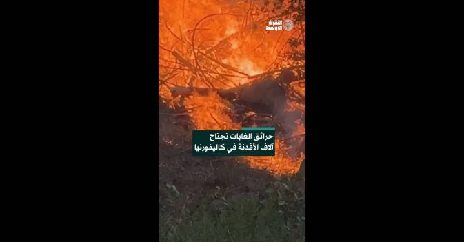 حرائق الغابات تجتاح آلاف الأفدنة في كاليفورنيا