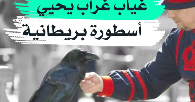 غياب غراب يحيى أسطورة بريطانية