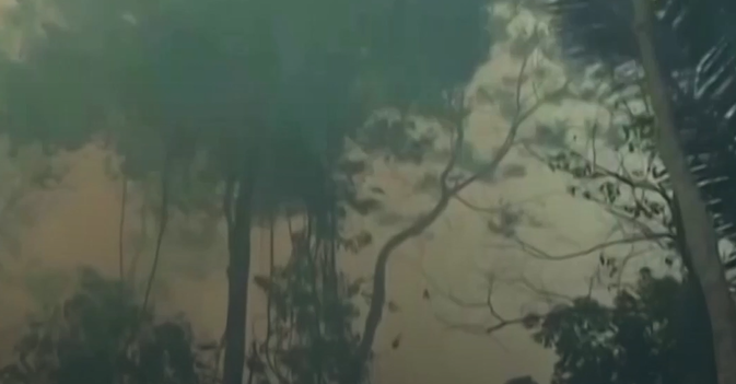 حرائق غابات الأمازون تسجل أعلى مستوى لها منذ 12 عاماً