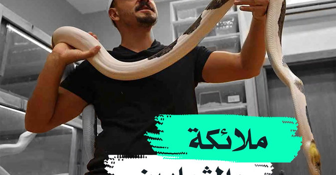 ملائكة والثعابين