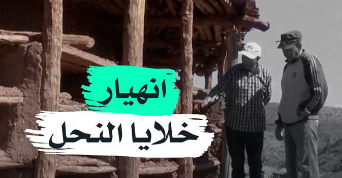 انهيار خلايا النحل