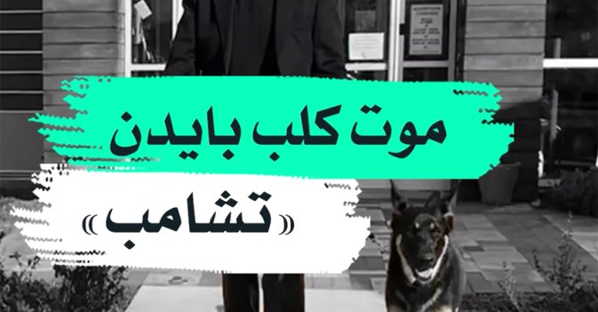 موت كلب بايدن "تشامب"