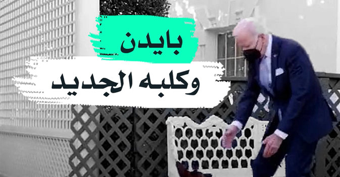 بايدن وكلبه الجديد