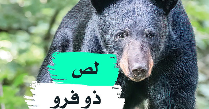 لص ذو فرو
