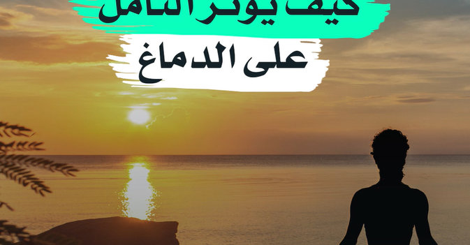 كيف يؤثر التأمل على الدماغ