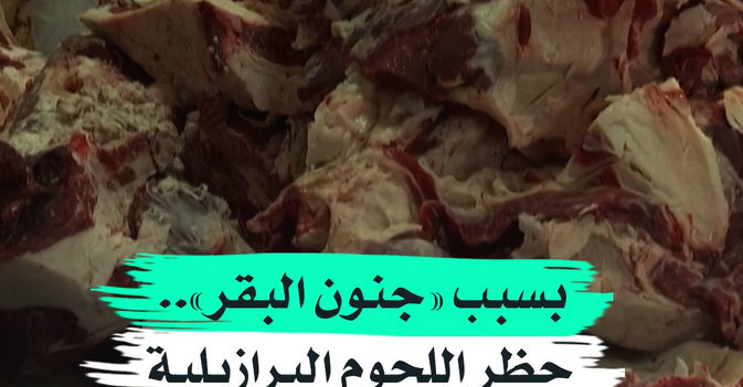 بسبب «جنون البقر».. يحظر اللحوم البرازيلية في روسيا وآسيا 