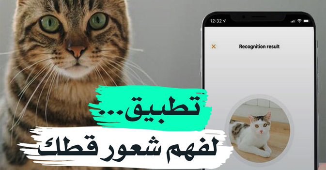 تطبيق... لفهم شعور قطك
