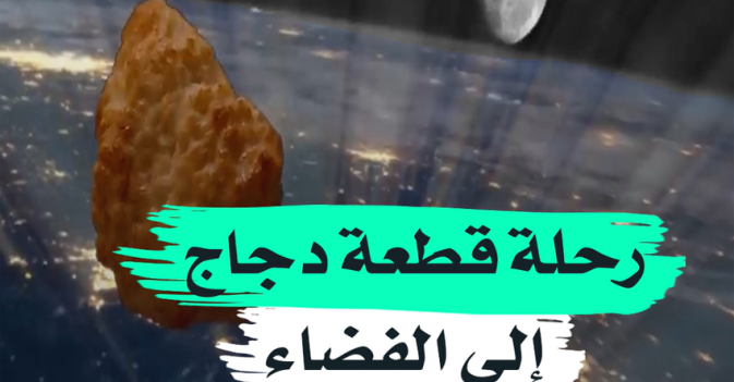 رحلة قطعة دجاج إلى الفضاء