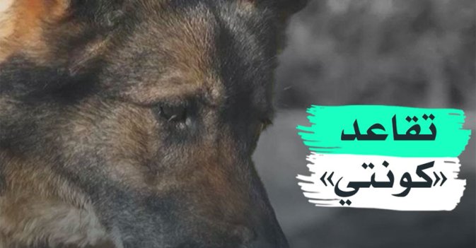 تقاعد "كونتي"