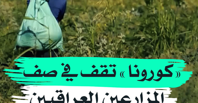 "كورونا" تقف في صف المزارعين العراقيين