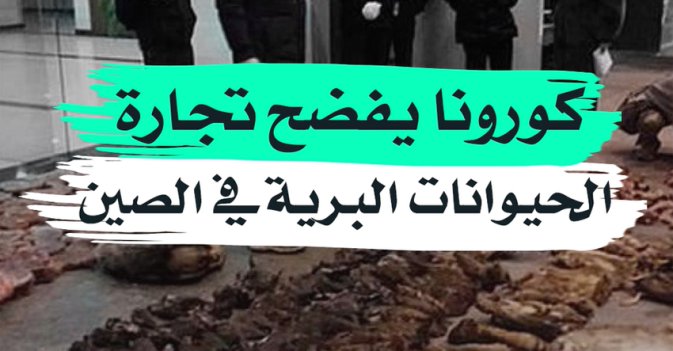 كورونا يفضح تجارة الحيوانات البرية في الصين